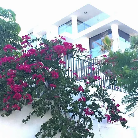 Stunning In With Amazing Views, Pool And Large Gym Villa